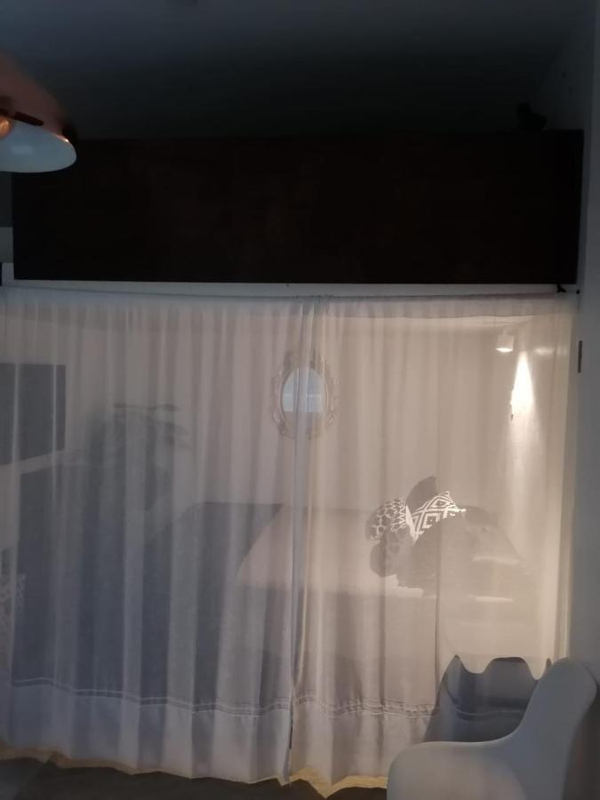 リオデジャネイロMini Loft En Rioアパートメント エクステリア 写真